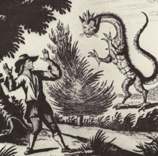 dessin-dun-dragon-dont-on-avait-signalc3a9-lapparition-dans-les-alpes-en-1660