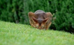 Weekend Writing Warriors ~ Riskier&nbsp;Business