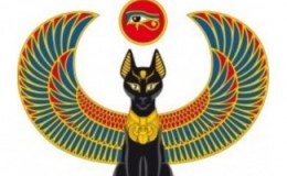 Weekend Writing Warriors ~ Trap That&nbsp;Cat