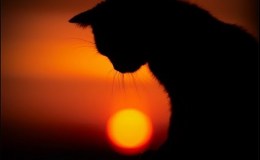 Weekend Writing Warriors&nbsp;~Addiction