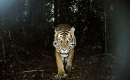 Weekend Writing Warriors ~ Go&nbsp;Wild