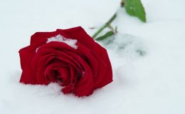 Weekend Writing Warriors ~ On&nbsp;Edge