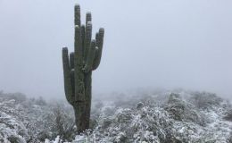 Weekend Writing Warriors ~ Once a&nbsp;Scoundrel