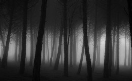 Weekend Writing Warriors ~ Band of&nbsp;Fellows