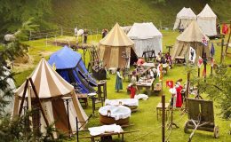 Weekend Writing Warriors ~ A Fairy&nbsp;Fall