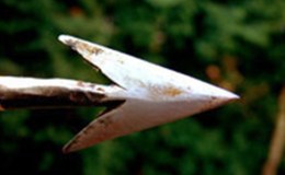 Weekend Writing Warriors ~&nbsp;Trajectory