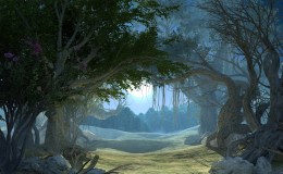 Weekend Writing Warriors ~ Tales of the&nbsp;Forest