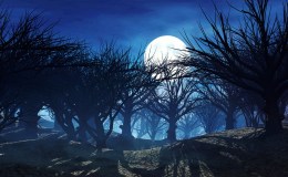 Weekend Writing Warriors ~ Mark My&nbsp;Words