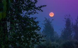 Weekend Writing Warriors ~ Sleeping&nbsp;Nightmares