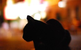 Weekend Writing Warriors ~ A&nbsp;Quickie