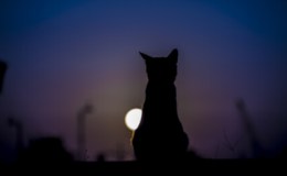 Weekend Writing Warriors ~ A True&nbsp;Confession