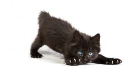 Weekend Writing Warriors ~ Welcome Home,&nbsp;Jacqui