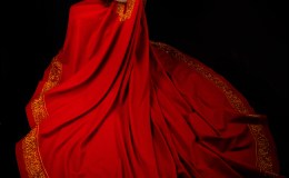 Weekend Writing Warriors ~ Lady&nbsp;Baltan